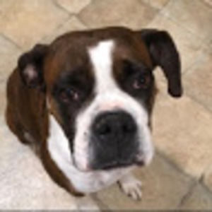 Meet your Posher, Myra